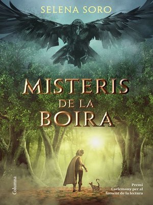 cover image of Misteris de la boira